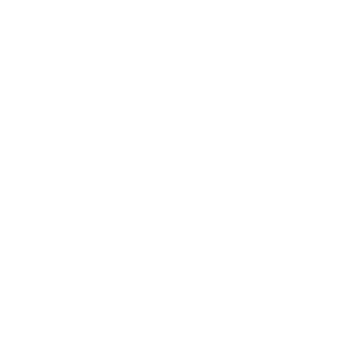 white iris logo for Irelis Shoes